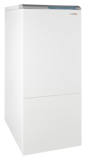 Котел газ. напол. (26,0 кВт) PROTHERM 30 KLZ Медведь с бойлером
